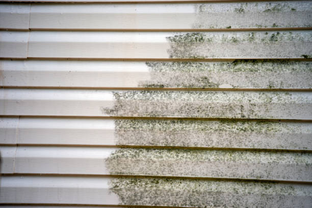 Best Hoarding Cleanup  in Montebello, NY